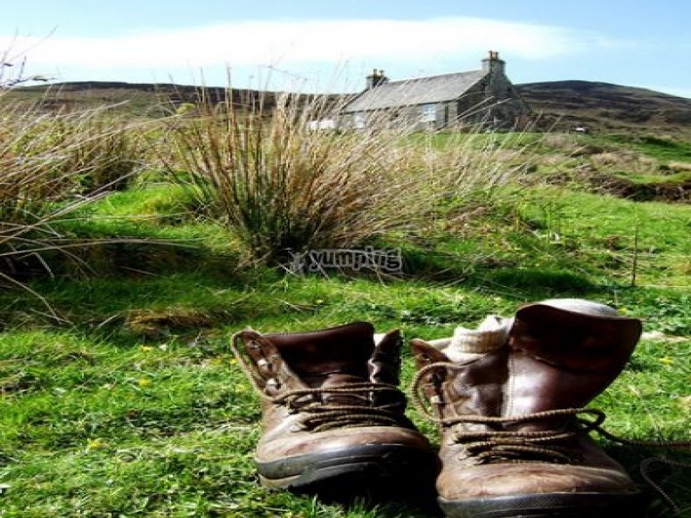 Hiking boots after a good beating /tb_Hiking boots.jpg